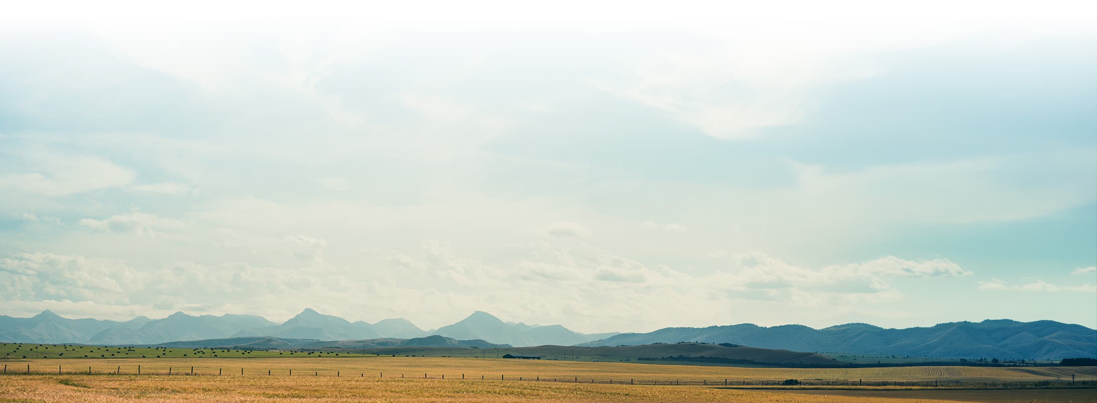 Colorado hay field with mountains