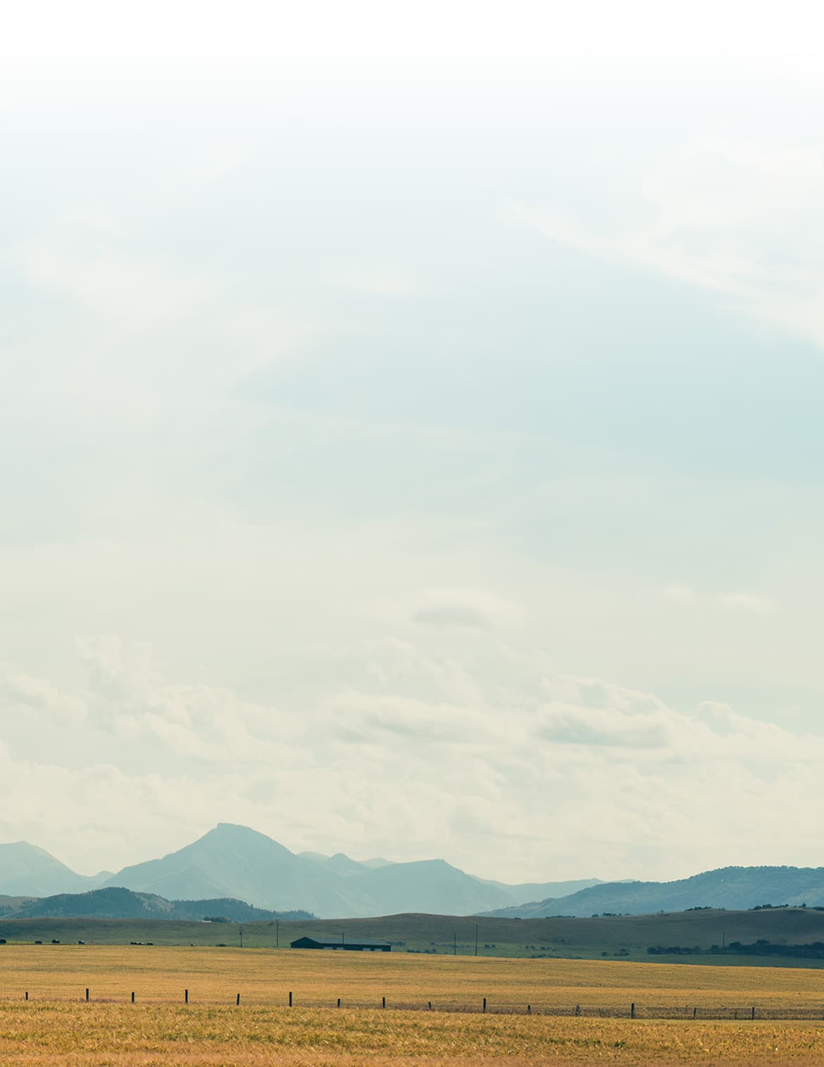 Colorado hay field with mountains
