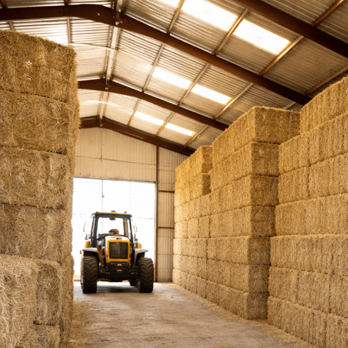 Hay storage barn interior with forklift