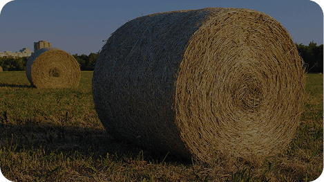 Hay bales in field