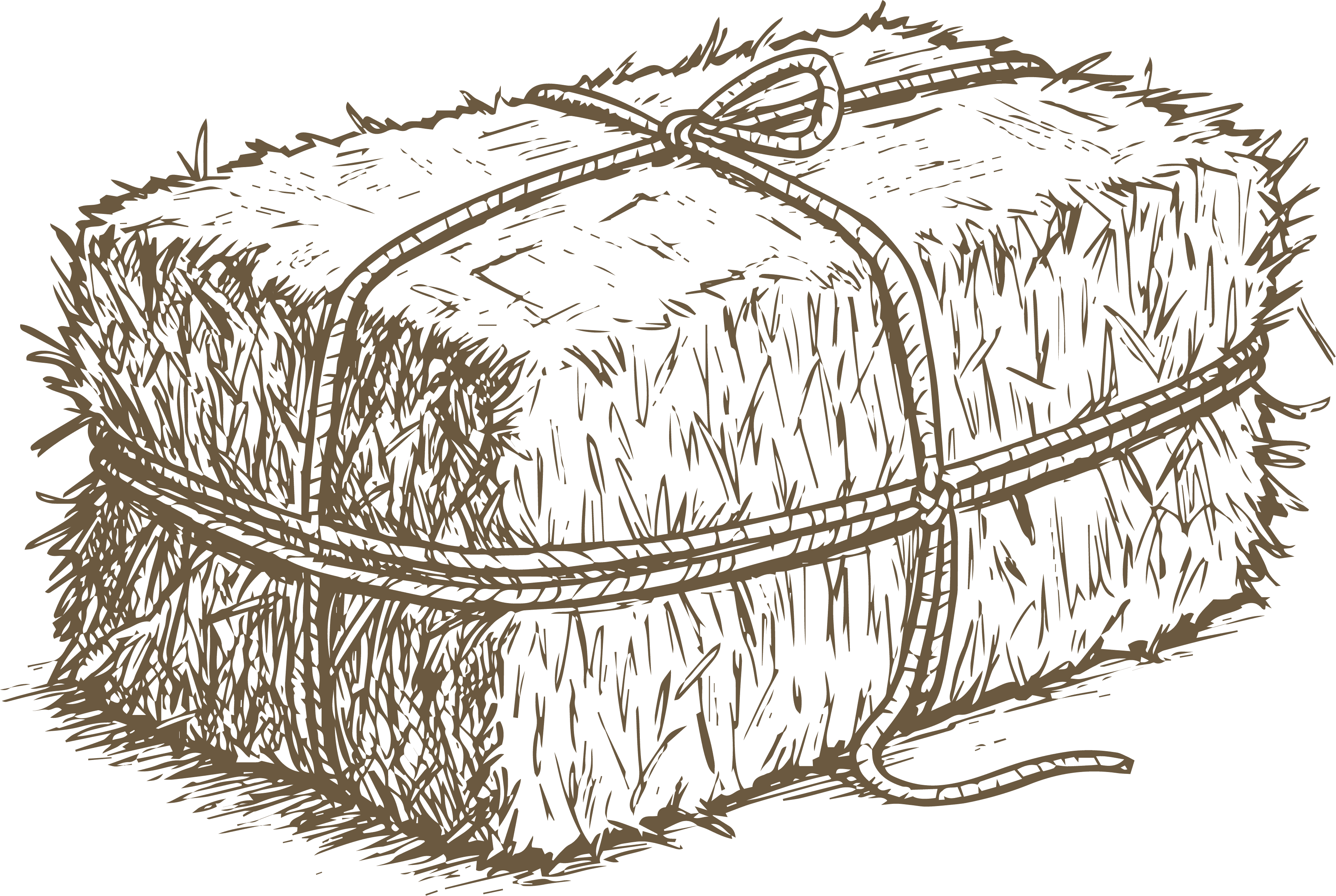 Hay bale illustration