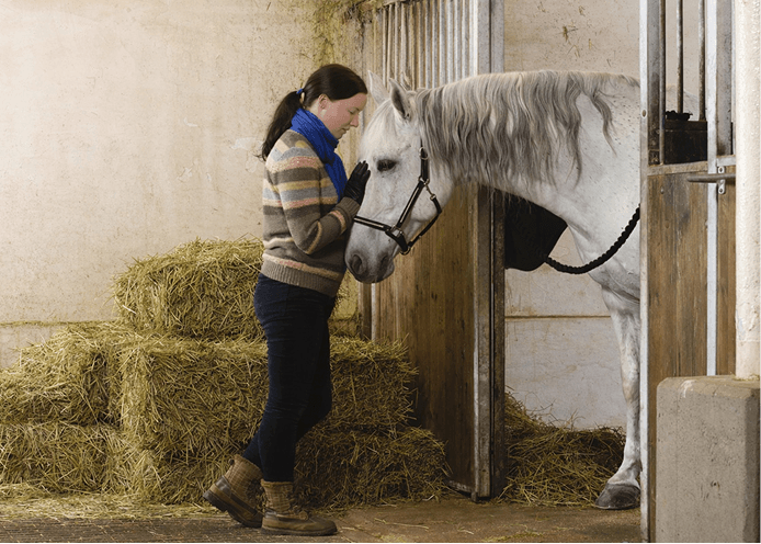 Person with horse
